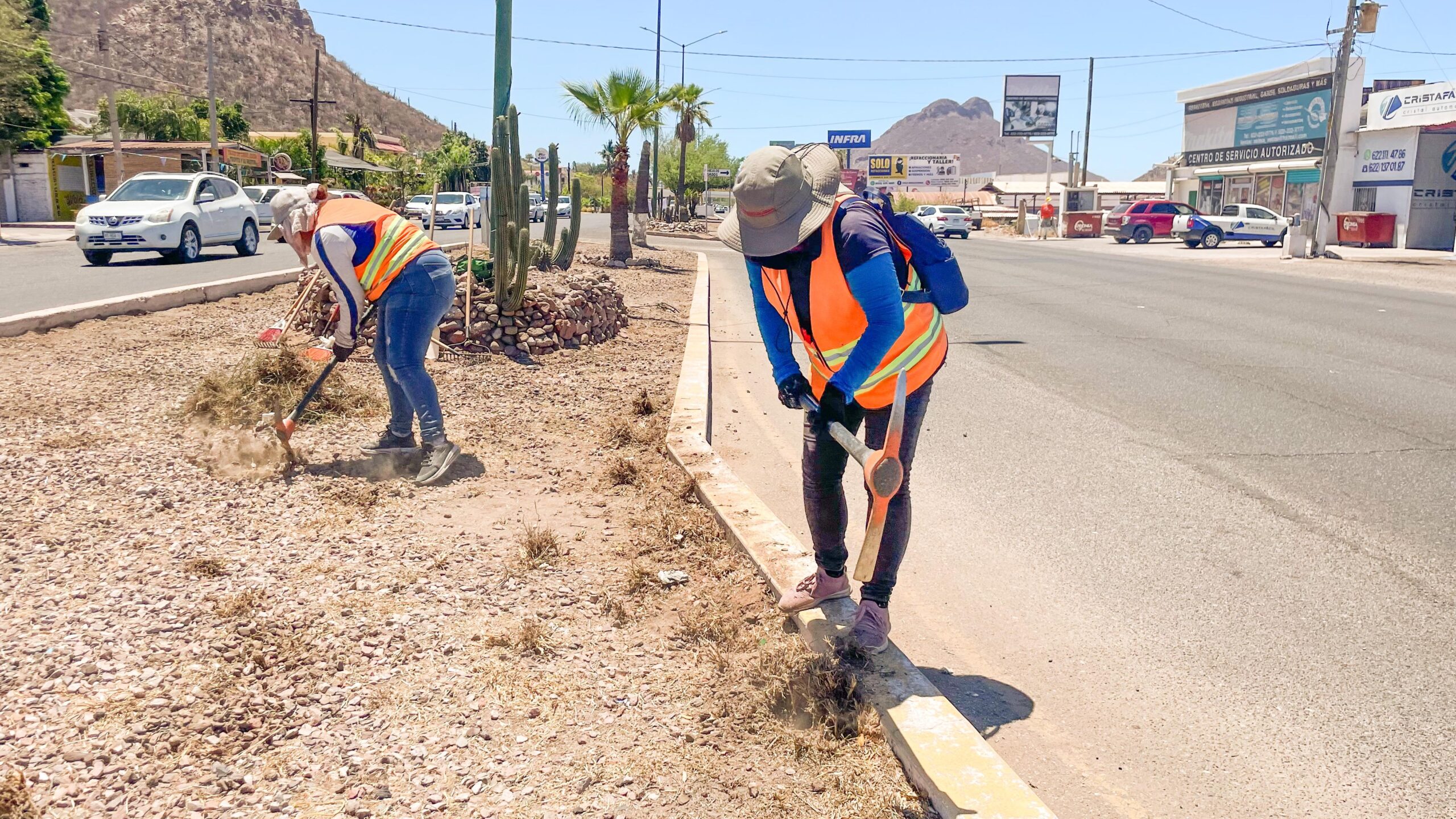 Realiza Servicios Públicos Municipales limpieza de camellón