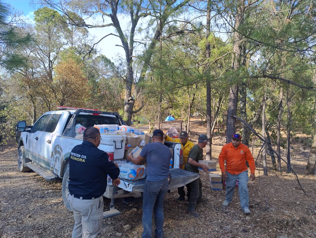 Liquidan brigadistas incendio forestal en Yécora