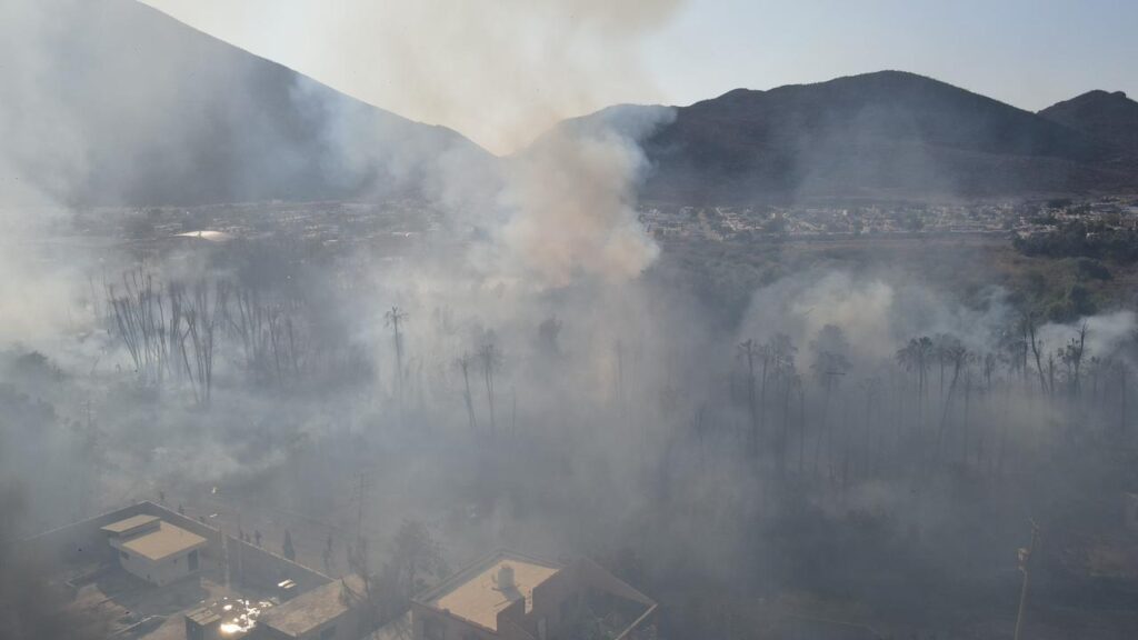 WhatsApp Image 2024 06 12 at 11.16.59 AM 1