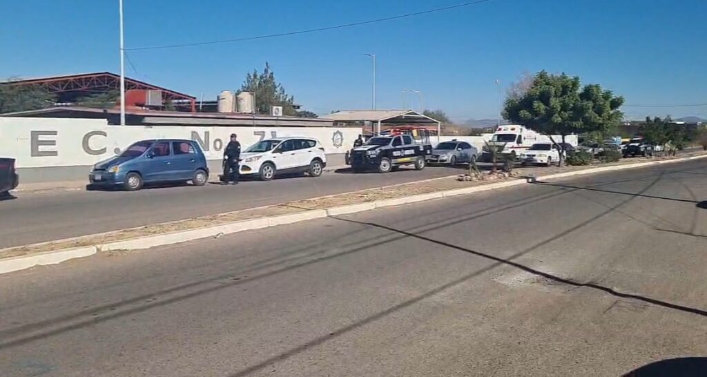 WhatsApp Image 2024 06 12 at 11.20.53 AM 3