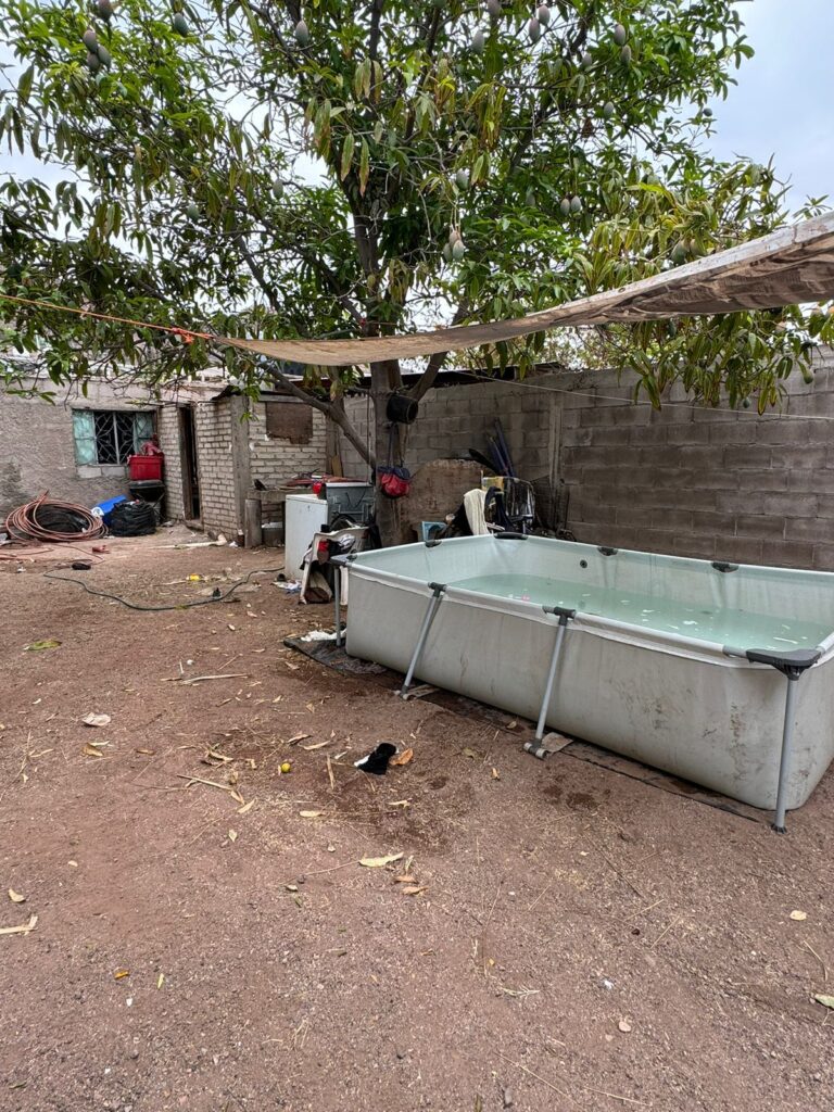 WhatsApp Image 2024 06 13 at 6.41.46 PM 1