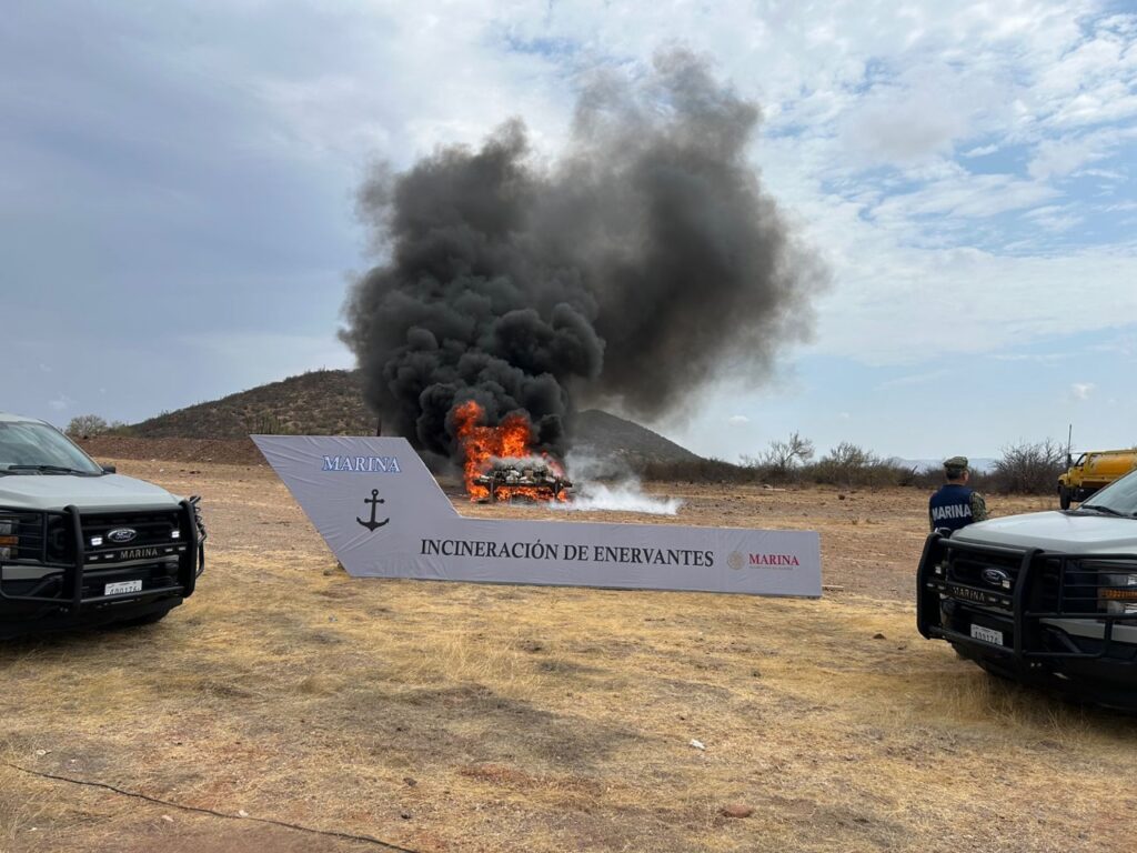 WhatsApp Image 2024 06 15 at 10.51.22 AM