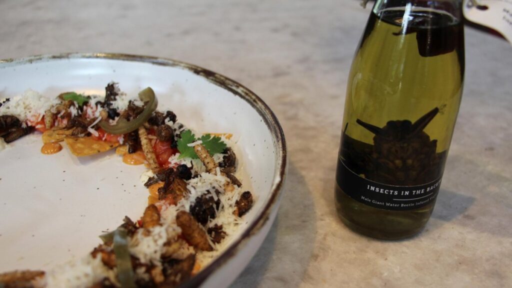 Singapur aprueba el consumo humano de 16 especies de insectos 1 23