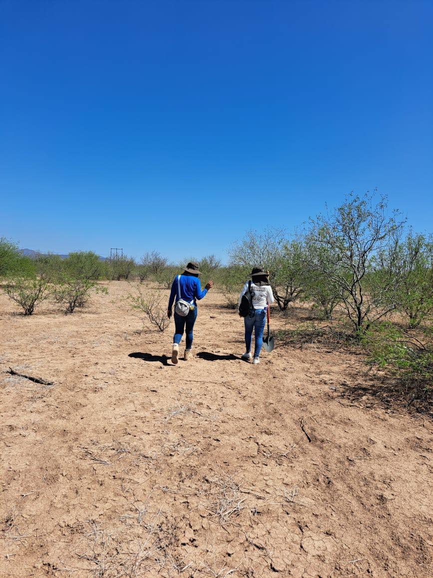 Localizan osamenta en el valle de Empalme