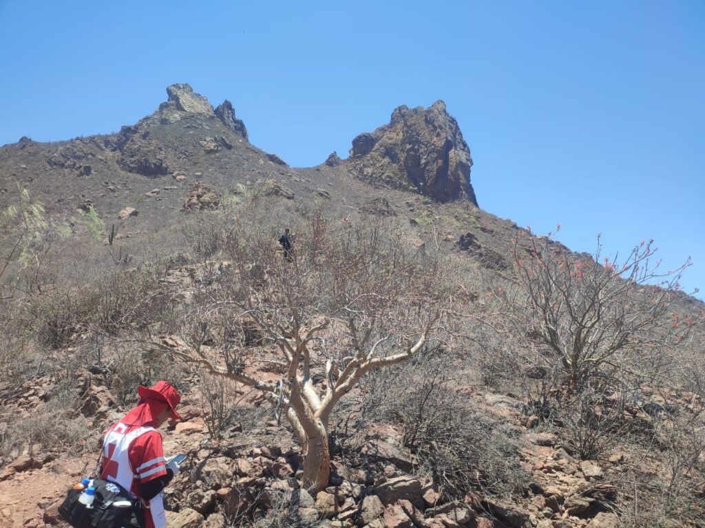 2f8460cd b73f 45c7 8a6c 2fe83782d66c