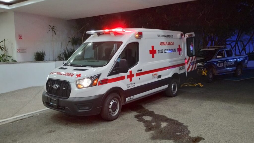 40496a49 0c09 488b b503 afe3831d42ff