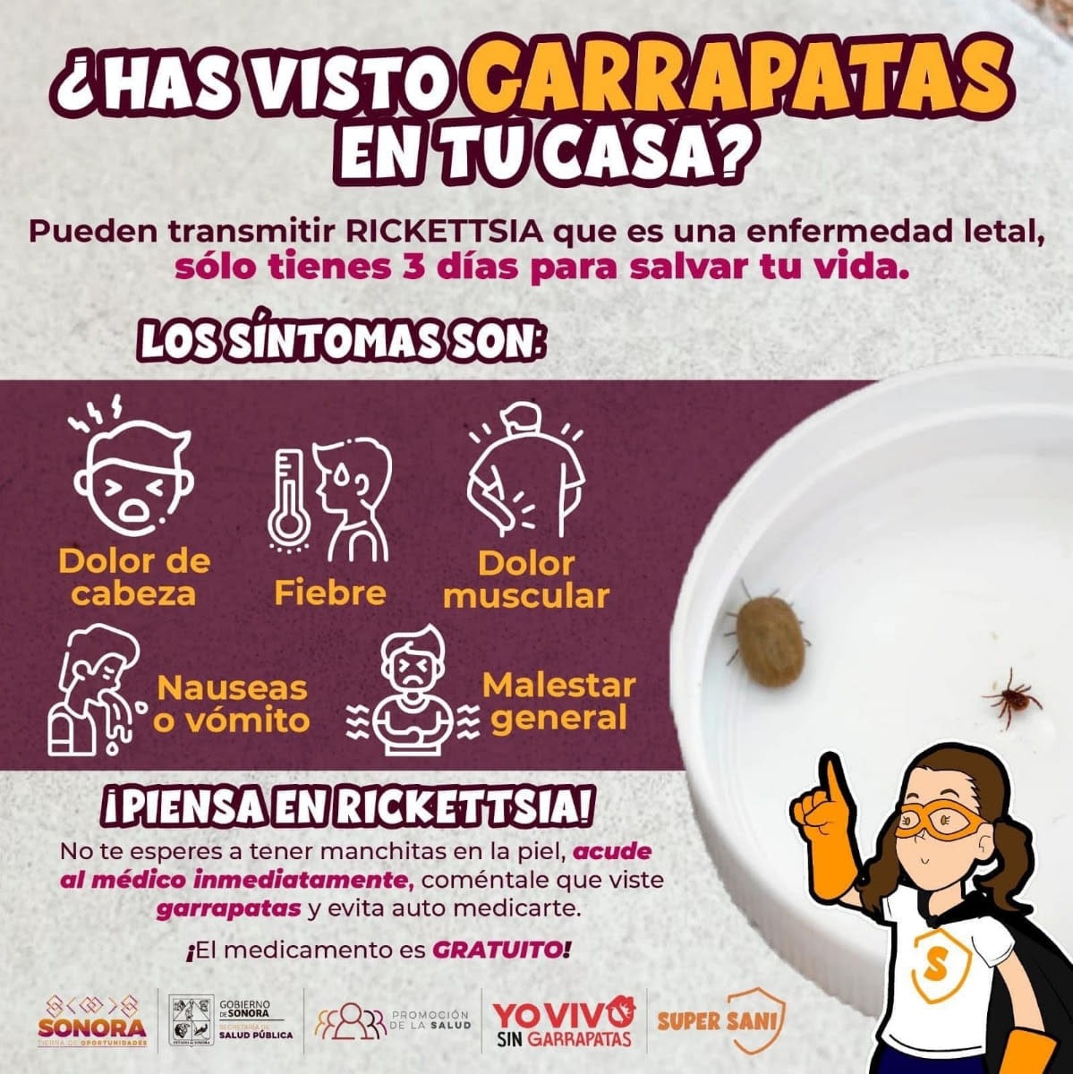 Salud Sonora trabaja todo el año contra la rickettsiosis