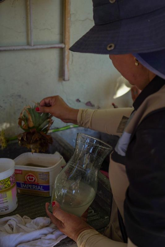 CTCT 20240718 101358