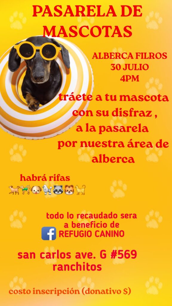 IMG 20240714 WA00941