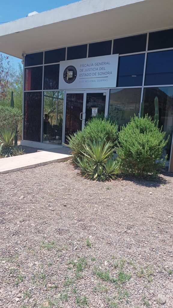 WhatsApp Image 2024 07 12 at 10.34.01 AM 1