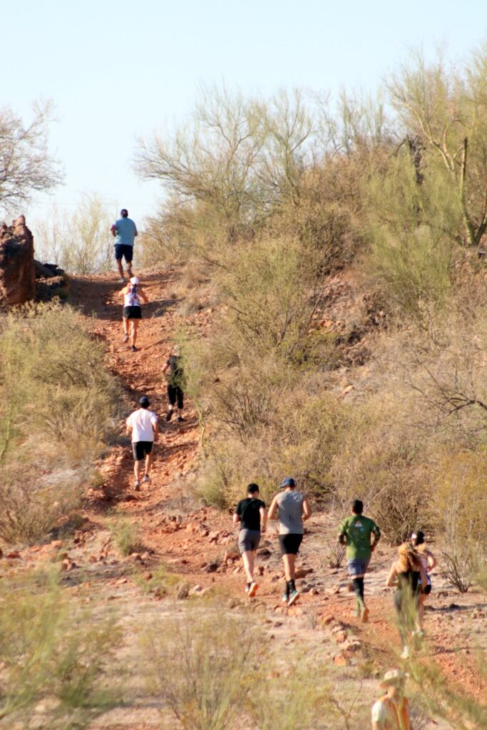 WhatsApp Image 2024 07 23 at 3.51.53 PM