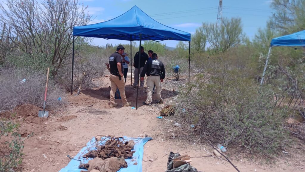 d52874a3 6d41 435d 9841 440cd9d25b3d