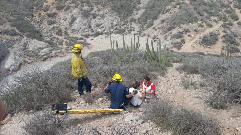 d766ad26 ca78 4016 9592 b2455d153326