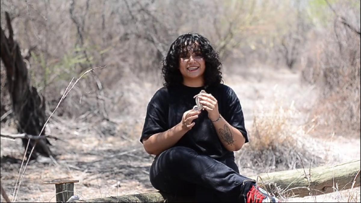 Realiza estudiante de la Unisierra trabajo de investigación sobre el camaleón sonorense