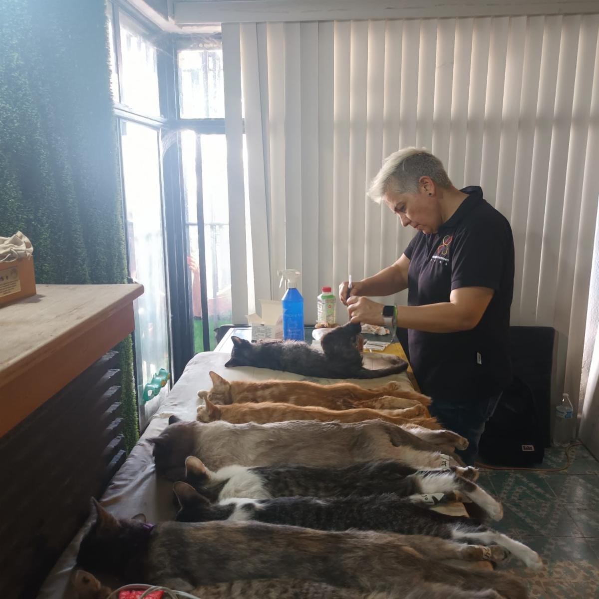 Acerca Gobierno de Sonora servicios gratuitos para población animal