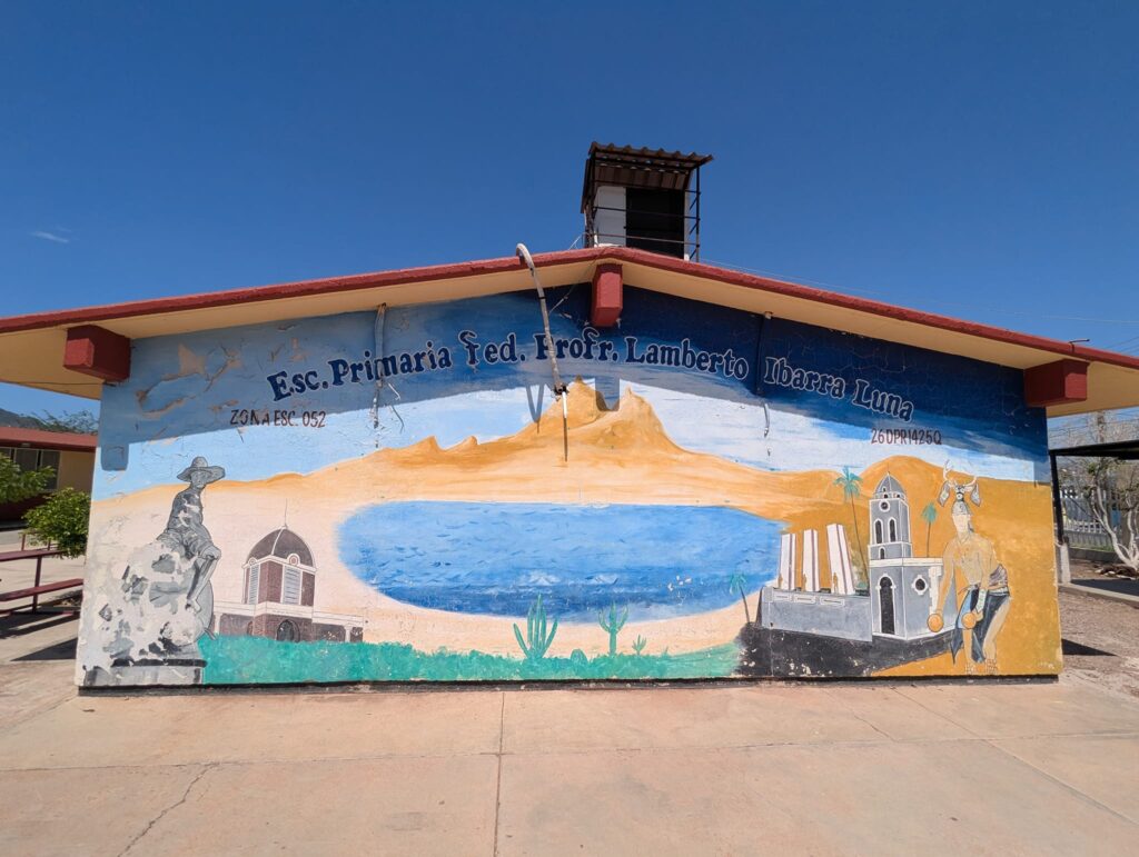 456617610 8352758711448966 6381151398362789843 n 1