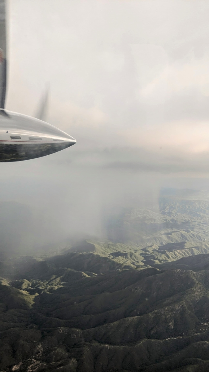 Gobierno del Estado recupera cubierta verde en terrenos para beneficio de productores ganaderos