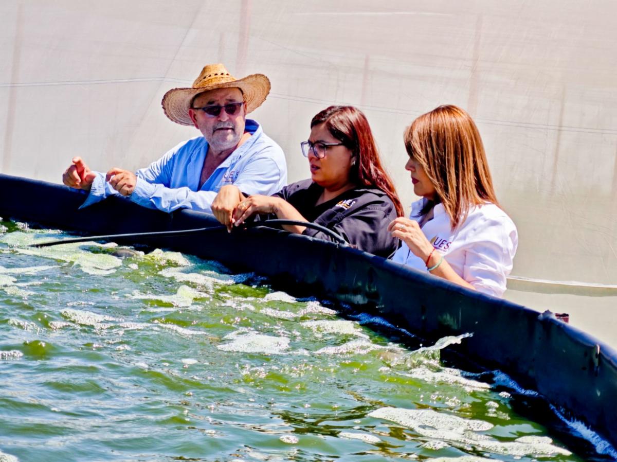Supervisa Universidad Estatal de Sonora funcionamiento de sus Campos Experimentales