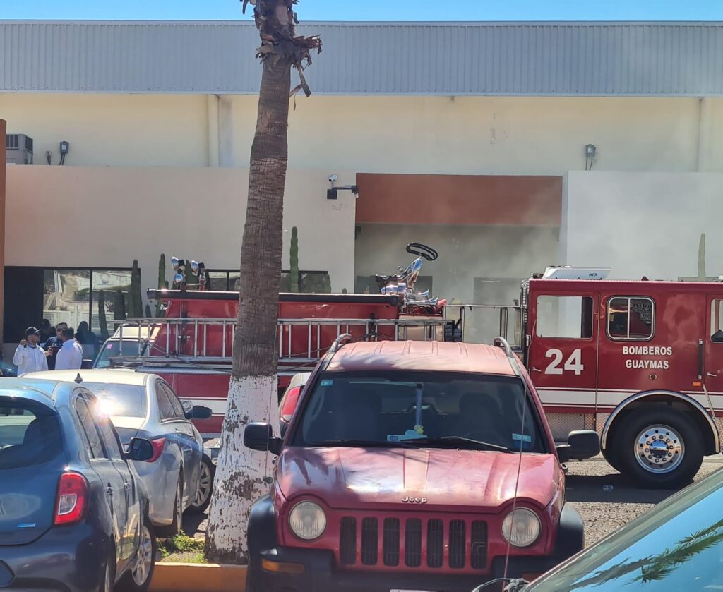 8de22172 c97d 49f1 a2e0 76f4c92dc928