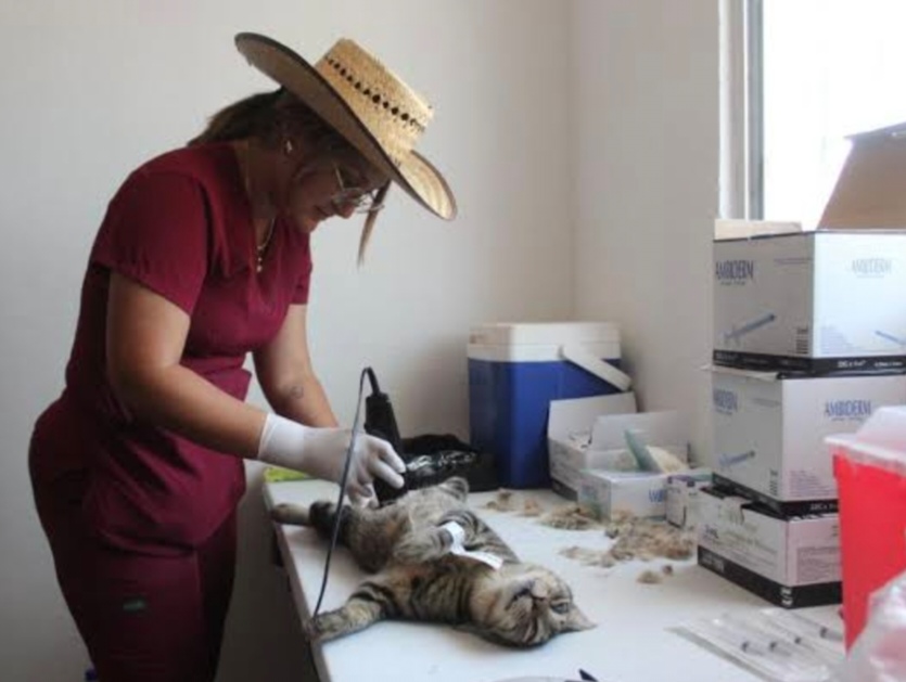 Screenshot 20240815 164357