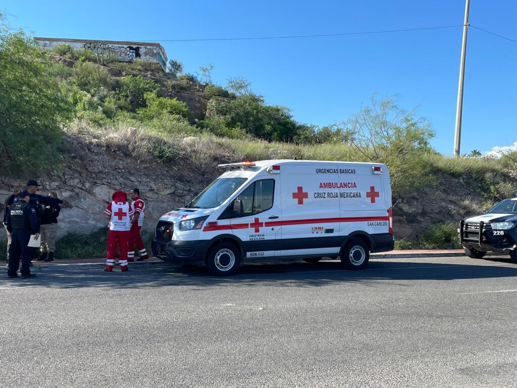 WhatsApp Image 2024 08 28 at 10.45.58 AM