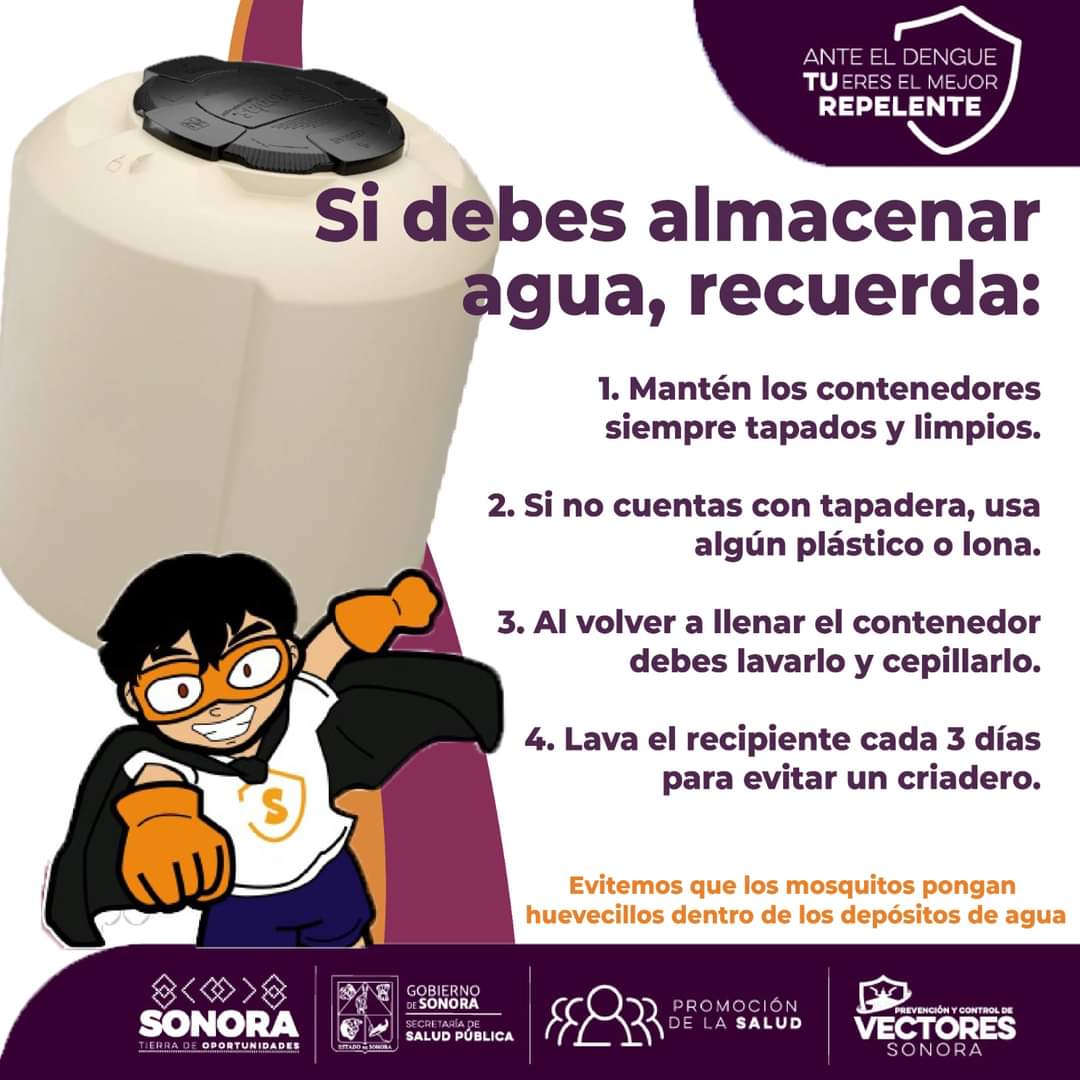 Sonora con seis semanas sin casos positivos de dengue