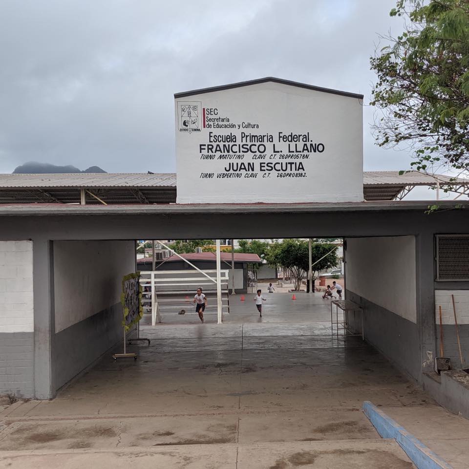 116702752 107015201110911 1101393357143294537 n