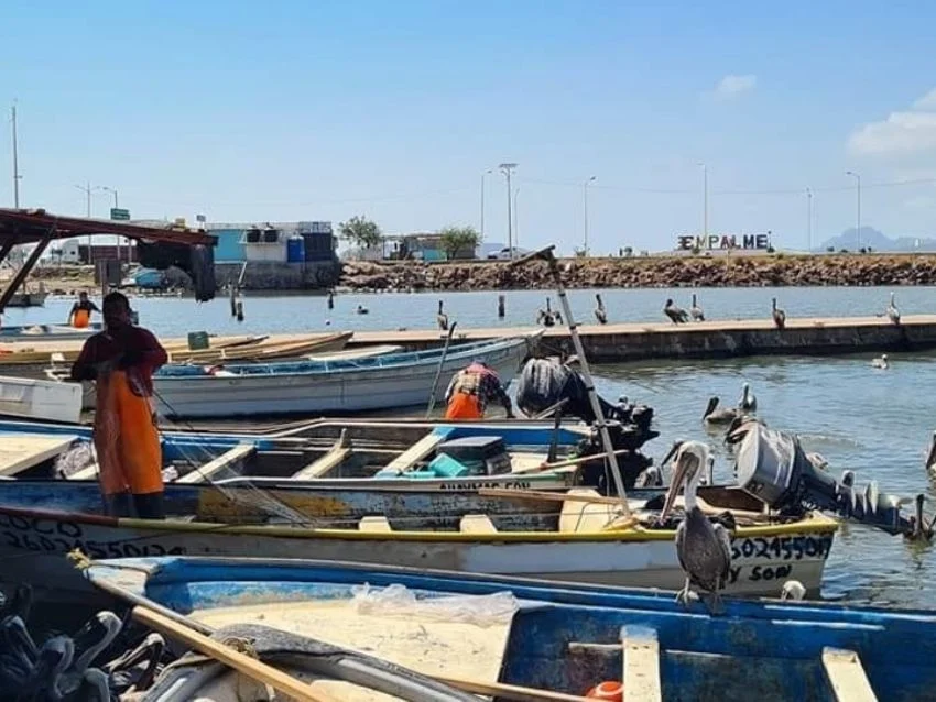 Listos pescadores ribereños al abrirse la veda del camarón 1 29 septiembre listos riberenos anl abrirse la veda del camsron el 2 de octubre