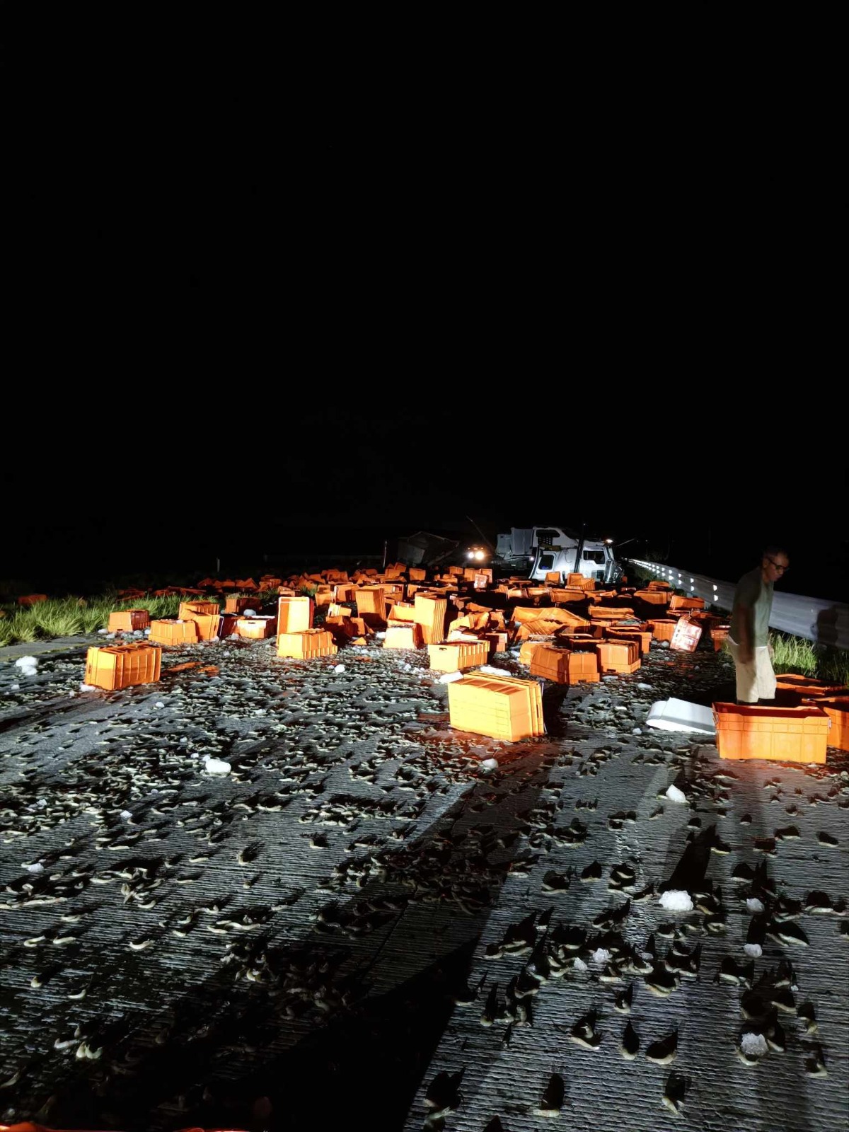 Se llevan toneladas de camarón tras volcadura de tráiler