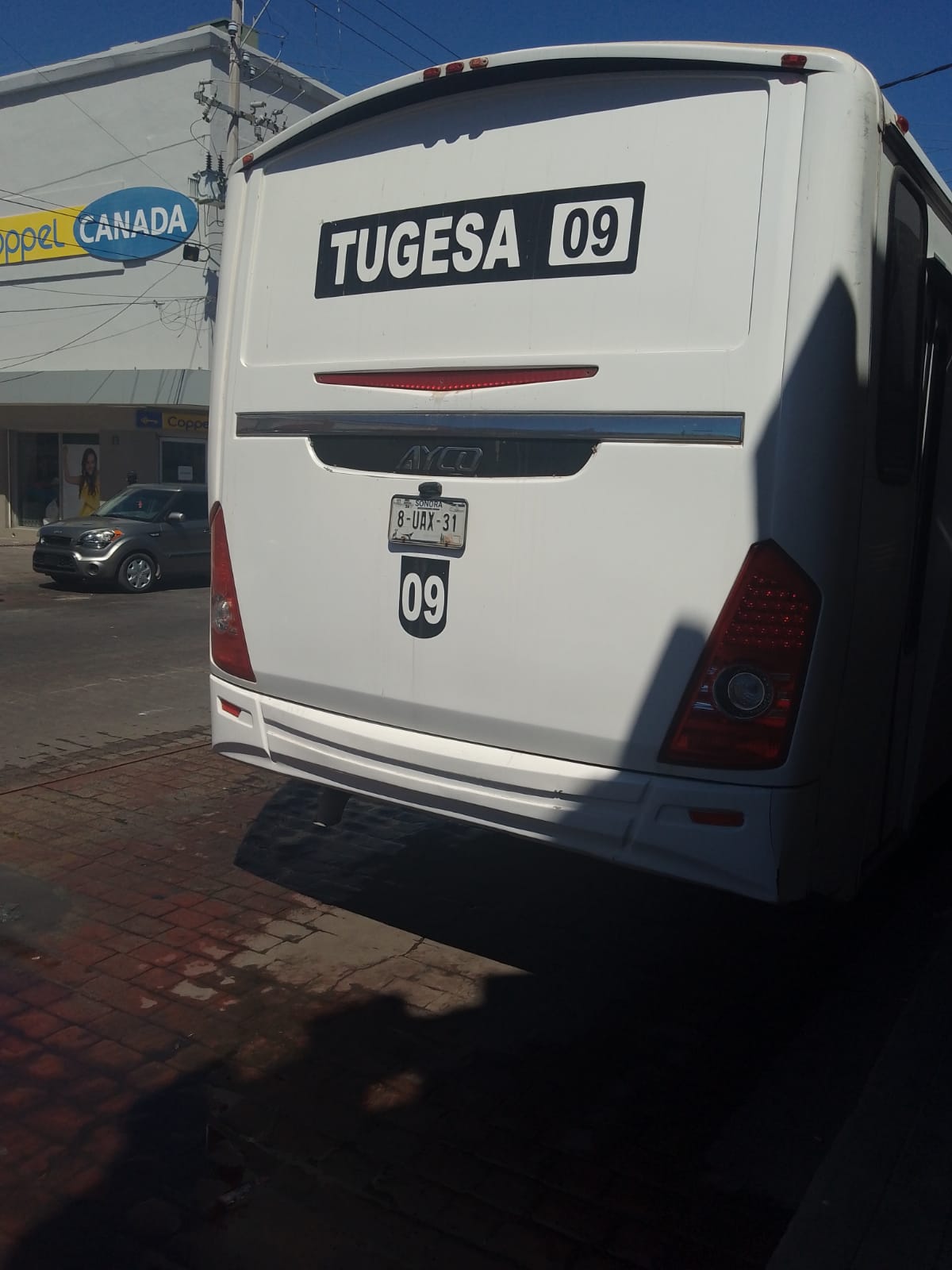 Camionero discrimina a adulto mayor