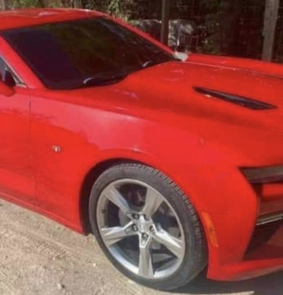 Screenshot 20240904 171122 com.hihonor.photos