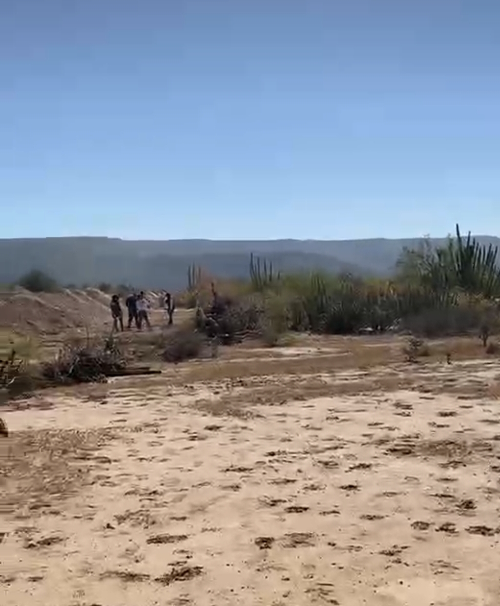 Buscadoras trabajan en el valle