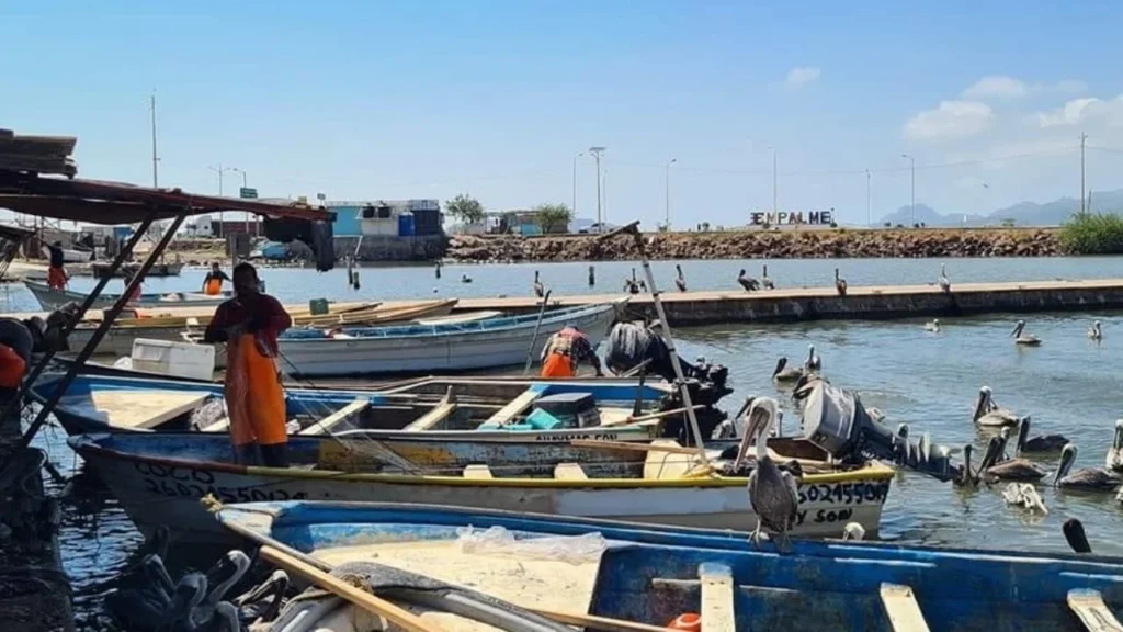 f1280x720 409724 541399 5050