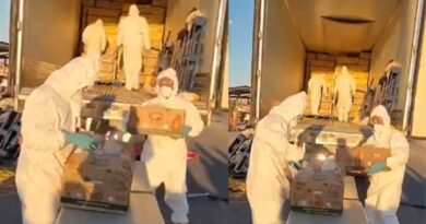 Decomisan más de 900 kilogramos de cocaína escondidos en papayas en San Luis Río Colorado