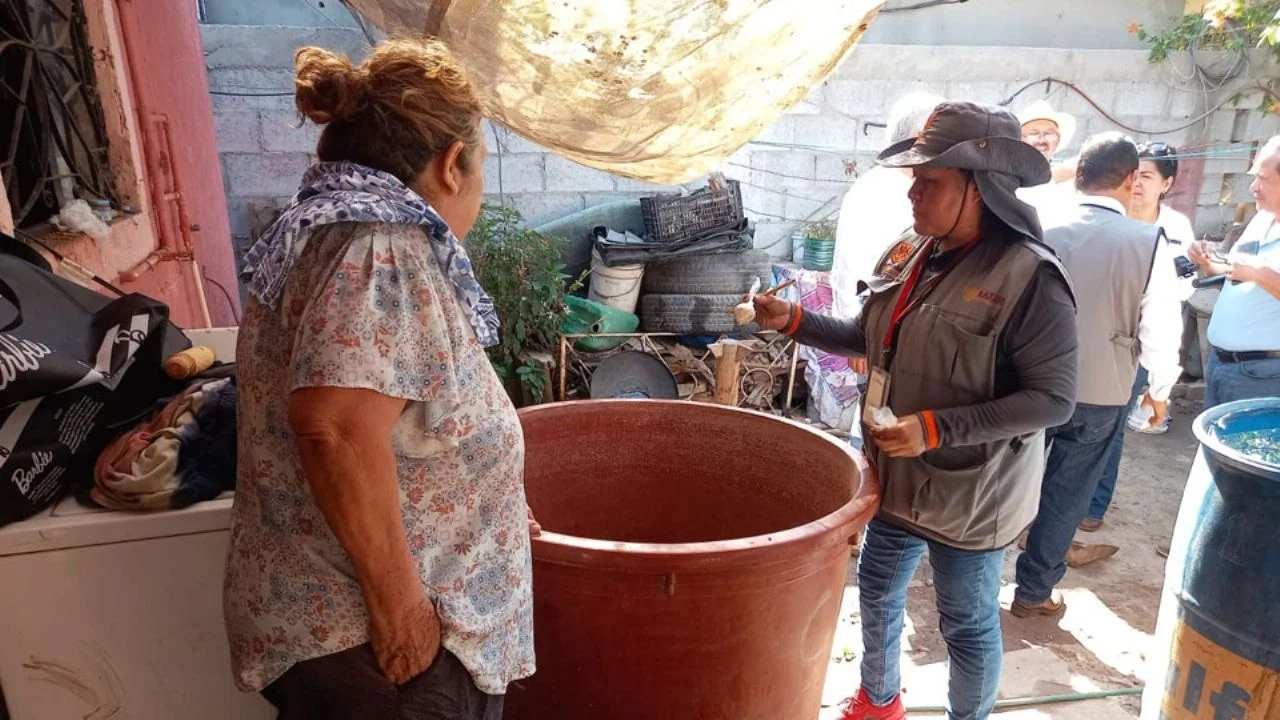 Confirma SS brotes de dengue en Guaymas