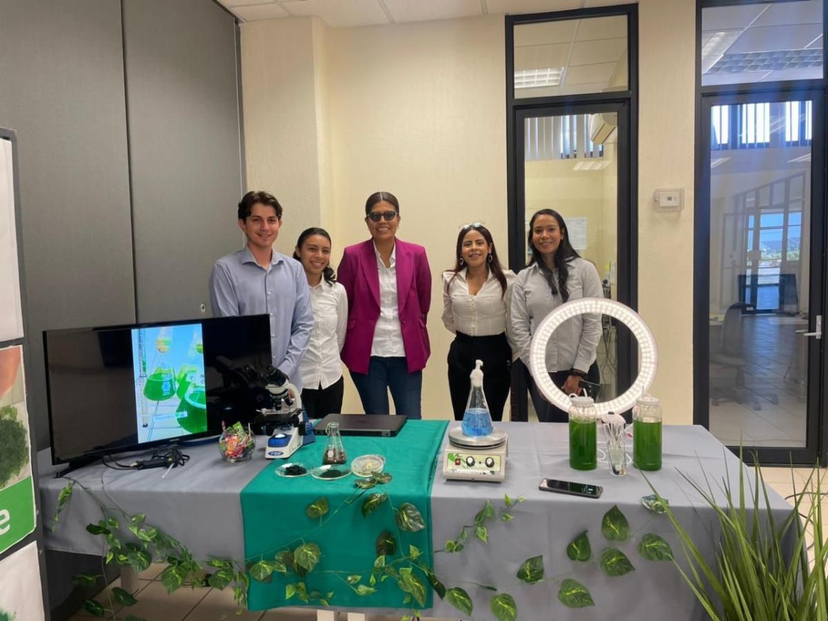 Desarrolla Universidad Tecnológica de SLRC biofertilizante a base de algas