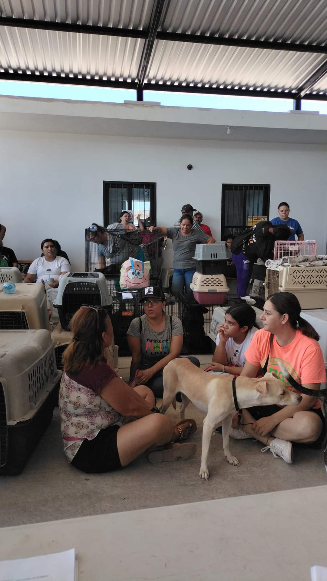 Animalistas apoyan a refugio canino