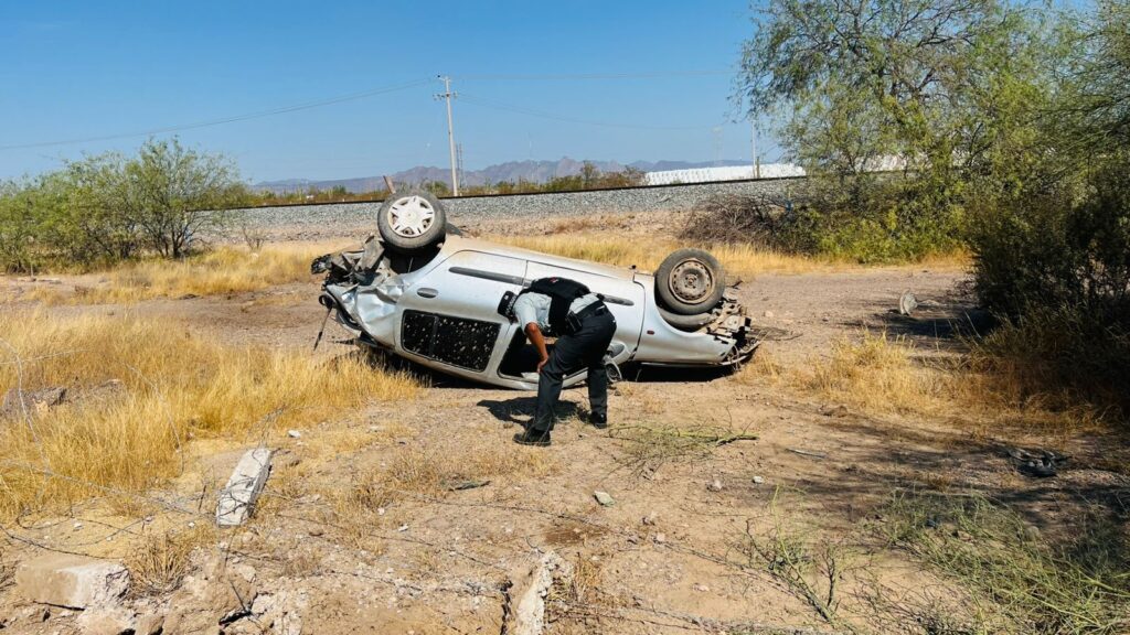 WhatsApp Image 2024 10 12 at 12.20.52 PM 5