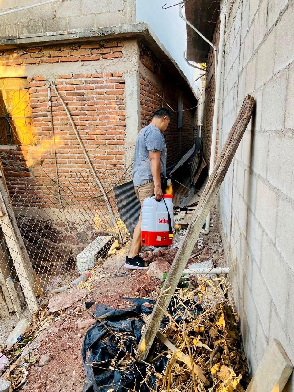 Se han fumigan 700 viviendas