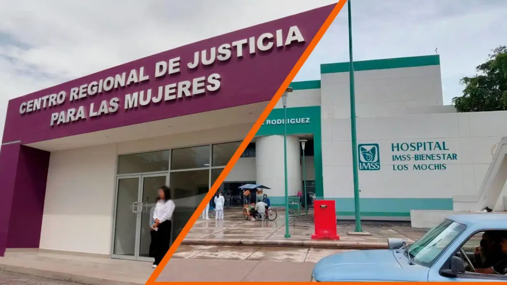 Colectivos en Sinaloa Exigen Justicia para Gloria Alicia Tras Ser Agredida con Gasolina y Fuego 1 15 2