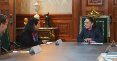 Claudia Sheinbaum Recibe en Palacio Nacional a Shelly Shetty, Directora Ejecutiva de Fitch Ratings