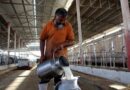 California suspende la distribución de leche cruda de su mayor productor por gripe aviar