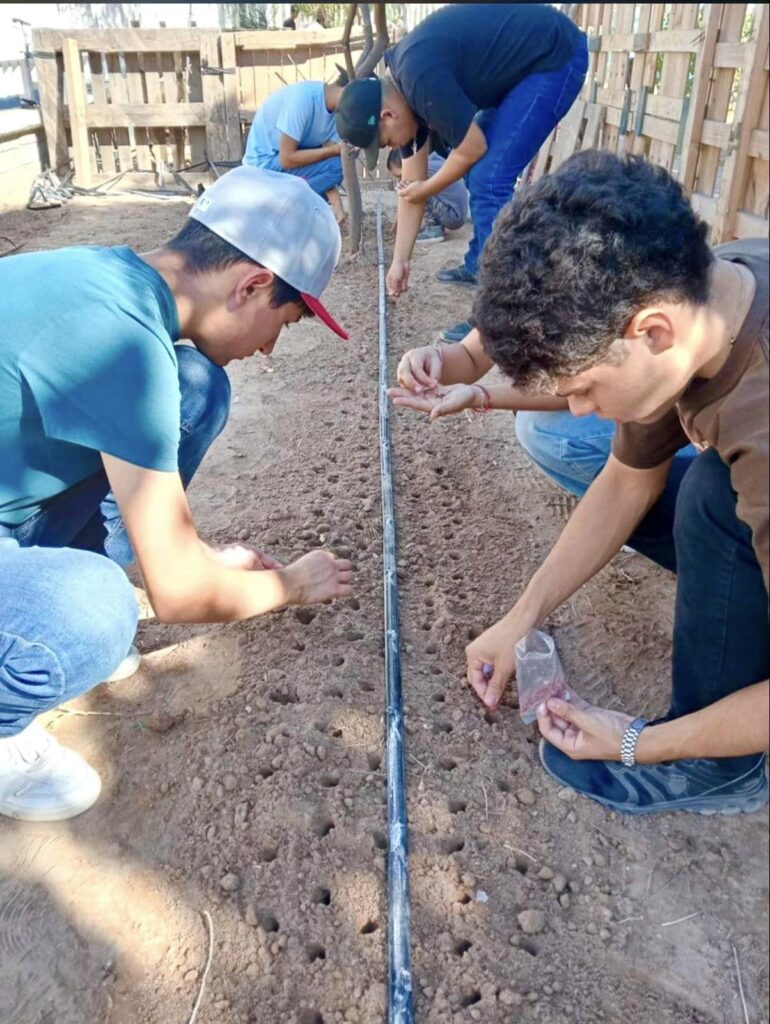 24 noviembre huertos escolares itson