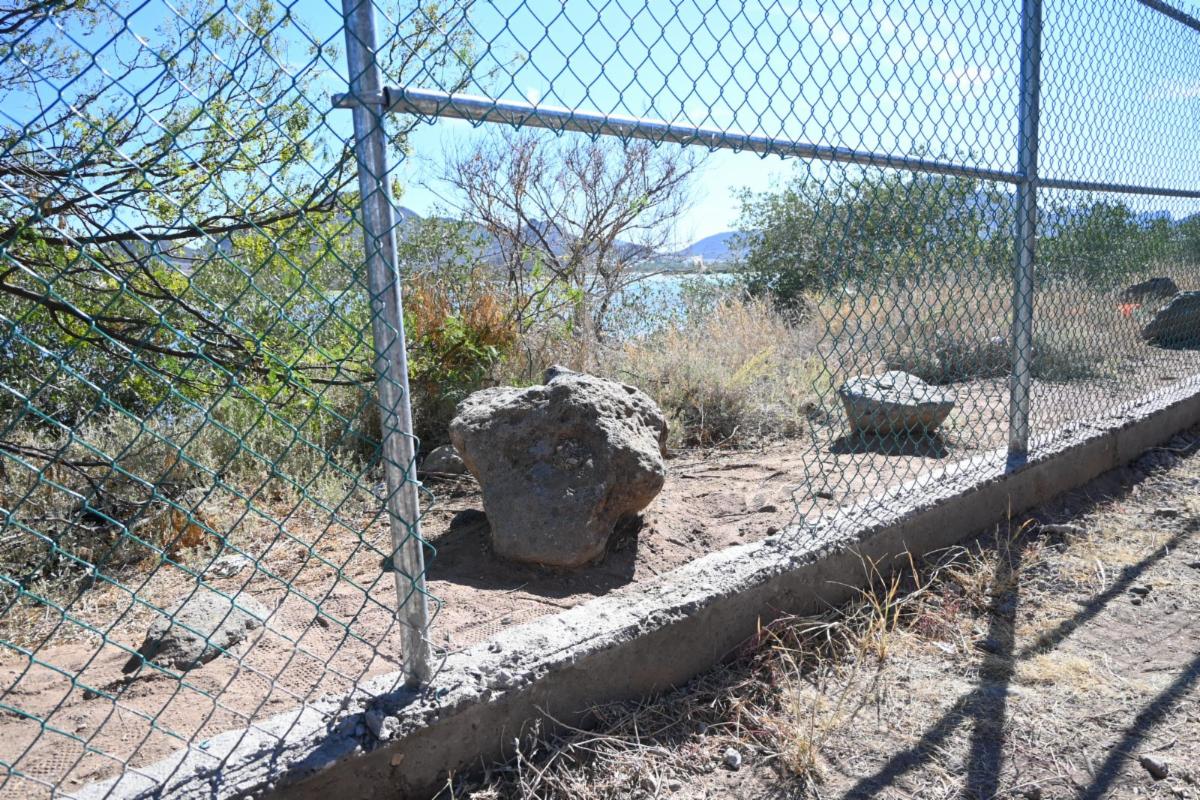 Realiza el Gobierno de Sonora acciones para el libre tránsito de fauna local en Guaymas