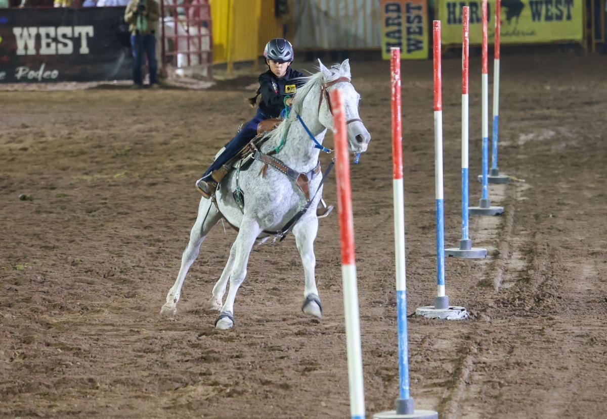 Gobierno de Sonora realizó con éxito la Gran Final del Circuito de Rodeo Sonora 2024 en su tercera edición