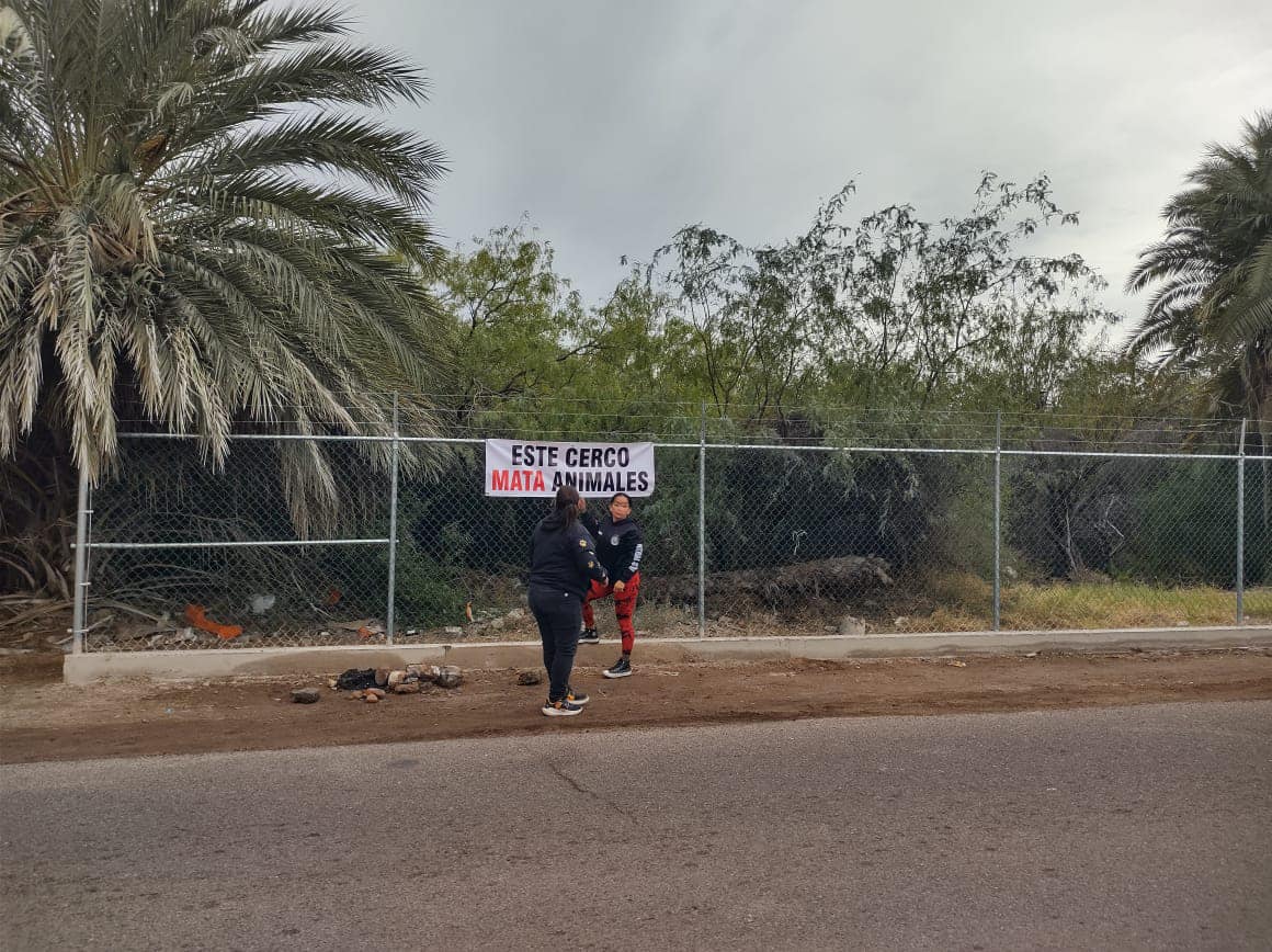 Cerco del Tular debe de ser retirado: Cedes