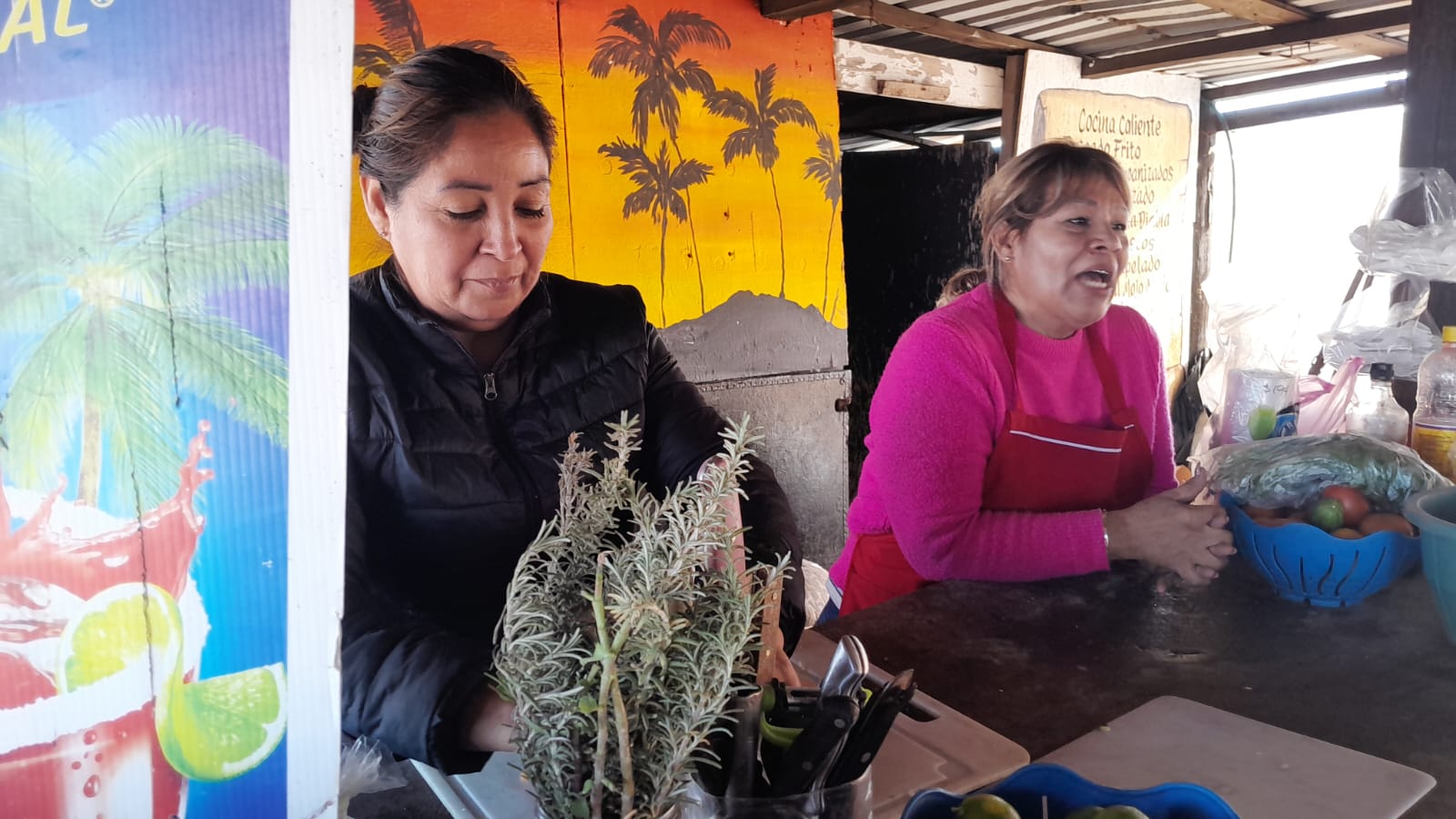 Disminuyen ventas de mariscos en el puente Douglas