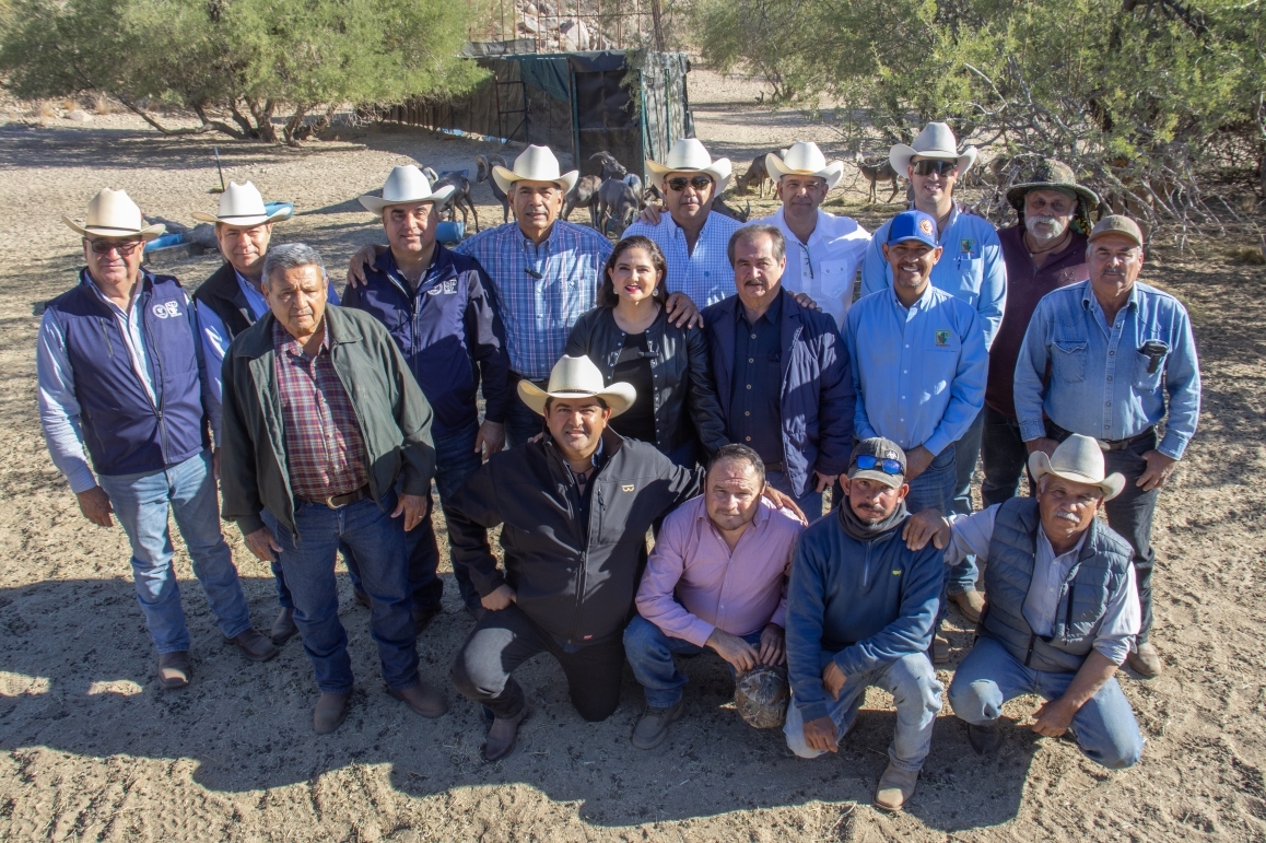 Contribuye Gobierno de Sonora a recuperación del borrego cimarrón con liberación de 20 animales: Celida López