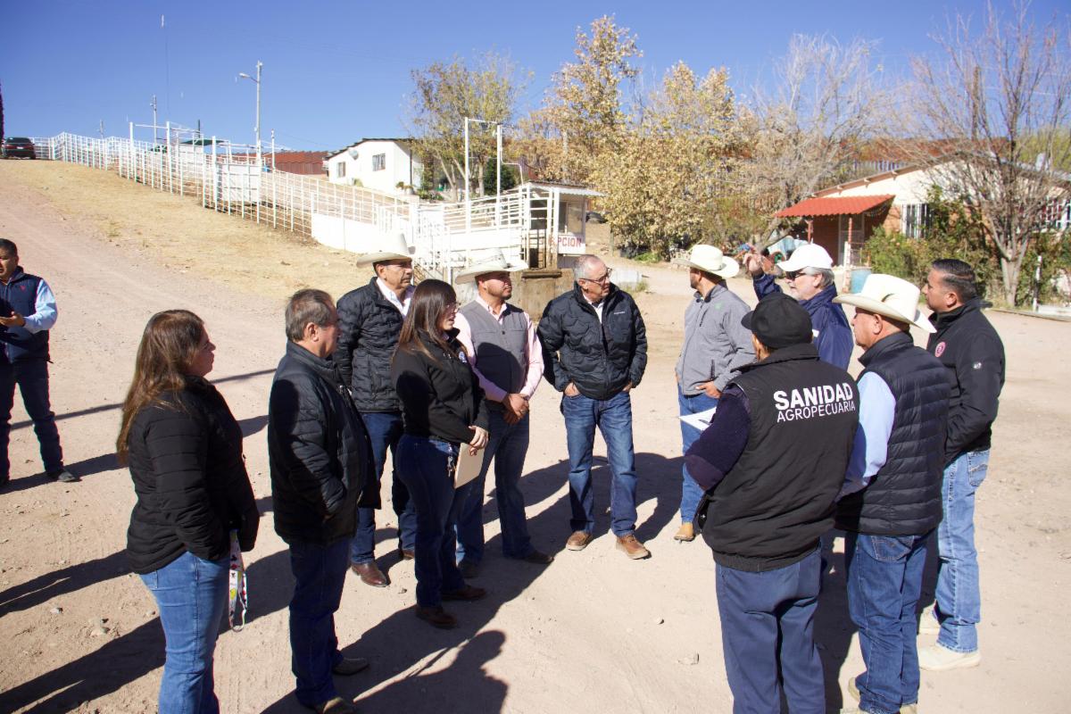 Gobierno de Sonora y Federación trabajan con Estados Unidos por el bienestar de ganaderos