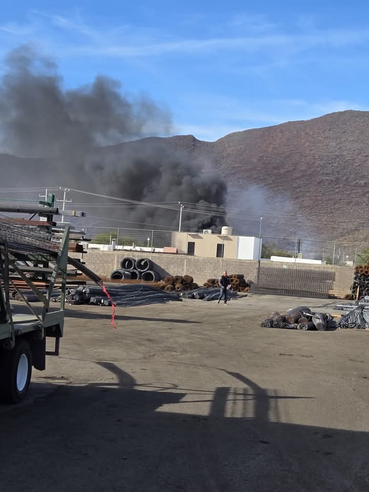 FB IMG 1733964439521